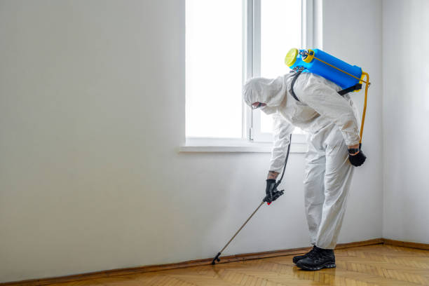 Best Mosquito Control Services  in Fort Dix, NJ