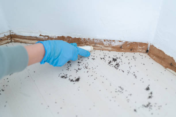 Best Affordable Exterminators  in Fort Dix, NJ